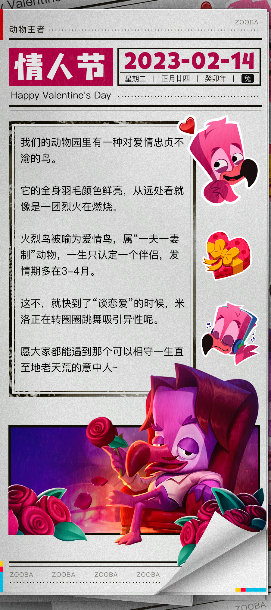 《动物王者》情人节趣闻：有人能帮火烈鸟攒个CP嘛？